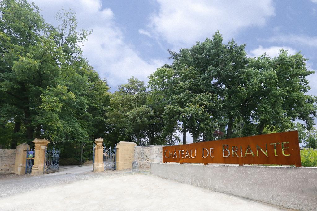Château de Briante Saint-Lager Extérieur photo